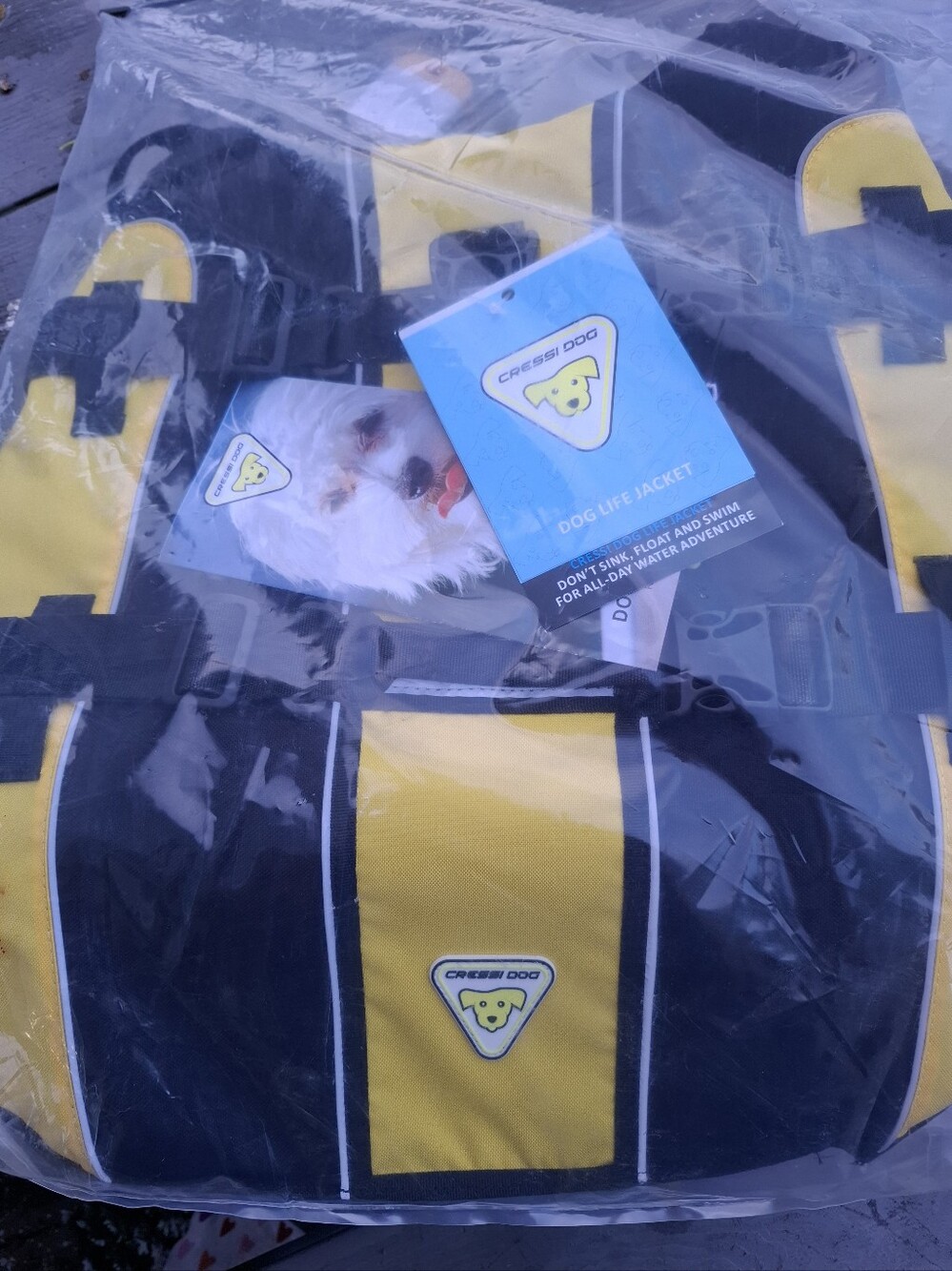Cressi DLJ Dog Life Jacket XL Black Yellow - New With Tags